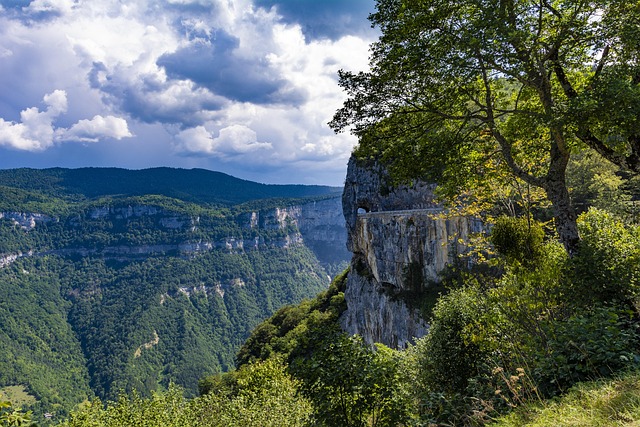 koordynator wsparcia klienta odpowiadający na pytania